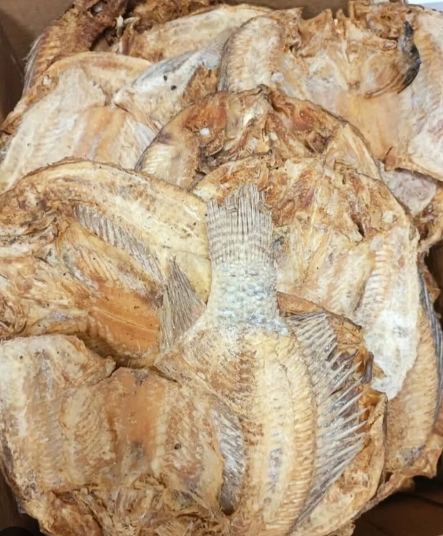 POISSON SALE COLIS / JEU